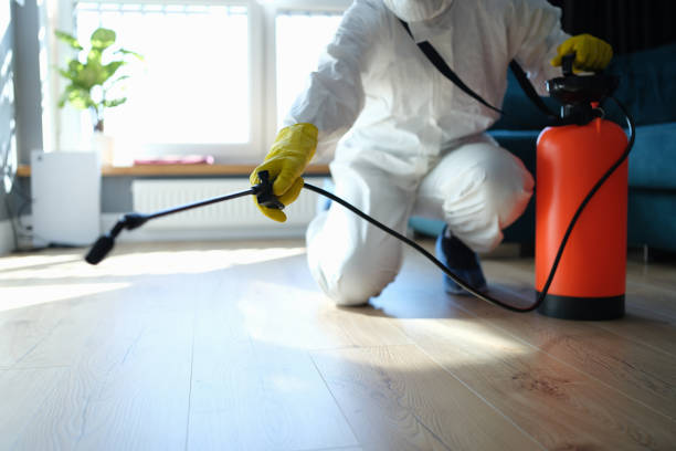Reliable Odor Removal contractor in Athens, IL by Crime Scene Cleaner Online